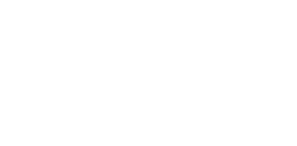DIVERSOFOED INVESTMENTS